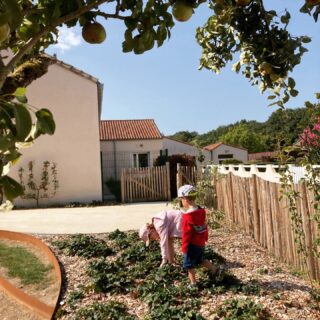#JARDINCOMESTIBLE
Chercher les fruits au sein du jardin, une joie pour les enfants, une (re)découverte pour certains adultes, un plaisir pour tous 🍓 🍏 !!Cette année le jardin Samuel Paty à Mouchamps dans la Communauté de communes du Pays des Herbiers a été inauguré et sa palette de végétaux comestibles plait à tous, petits et grands! ✨Lors de la conception, l’esprit des anciens jardins clos a été conservé et renforcé par le développement des plantations (fruitiers en cordons et palissés), les haies existantes ayant été conservées.La palette végétale développe l’identité nourricière des lieux : arbres fruitiers, massifs de petits fruits rouges à cueillir (cassis, groseilles, framboises, fraises des bois,…) qui ont fait le bonheur des enfants et des plus grands cet été, et des arbres de variétés anciennes fruitières 🍐 sont palissés participant ainsi au maintient du savoir-faire des jardiniers de la communeAccueillir un jardin comestible dans son environnement, c’est bien plus que produire des fruits et légumes : c’est renforcer la résilience de nos foyers et favoriser la biodiversité locale 🌱🥕.Un jardin comestible bien pensé accueille abeilles, papillons, oiseaux et la vie du sol 🐝🦋🐦. Les associations de plantes, les vivaces, les arbres fruitiers, le paillage et le compost nourrissent la biodiversité. Ces services écosystémiques renforcent la productivité à long terme et la capacité du jardin à faire face aux variations de météo.Quelques gestes simples pour commencer : diversifier les espèces (fruits, légumes, aromatiques, fleurs), intégrer des plantes locales et des fixateurs d’azote, composter, créer des zones fleuries et des abris pour les auxiliaires. Impliquer la communauté ou les enfants transforme le jardin en lieu d’apprentissage et de solidarité 🌼👧🏽👨‍🌾, comme ici à Mouchamps.Semons le changement ensemble 🌿#paysagisteconcepteur #architectepaysagiste #résilience #renaturationjardin #paysdesherbiers #jardincomestible #environnementaujardin