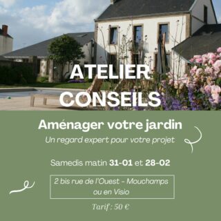 🌿 [ATELIERS-CONSEILS] Besoin d’un regard expert pour vos espaces extérieurs ?Les derniers samedis matin de janvier et février, l’Atelier Clotilde DRIN vous ouvre ses portes pour des permanences d’atelier-conseils ! 📅Que vous souhaitiez :
✅ Aménager une terrasse ou une entrée,
✅ Choisir les bonnes plantes pour votre jardin,
✅ Intégrer une piscine ou repenser un espace extérieur,
✅ Bénéficier de conseils personnalisés sur les matériaux et l’agencement,
… ces rendez-vous de 40 minutes sont faits pour vous !📍 Où ? À mon bureau ou en visioconférence, selon vos préférences.💡 Comment ? Apportez vos photos/vidéos pour un échange concret et des conseils adaptés.💰 Tarif : 50 € (paiement en amont ou sur place par carte bancaire).📅 Prochaines dates :
Samedi 31 janvier 2026
Samedi 28 février 2026📩 Réservez dès maintenant votre créneau sur https://calendly.com/d/cycw-khx-qvp/permanences-janvier-et-fevrier ou par mail à contact@atelierdrin.comParce qu’un projet bien conseillé est un projet réussi !
#AtelierDrin #ConseilsPaysagers #AménagementExtérieur #Jardin #Terrasse #Paysagiste #Patrimoine #Durable
