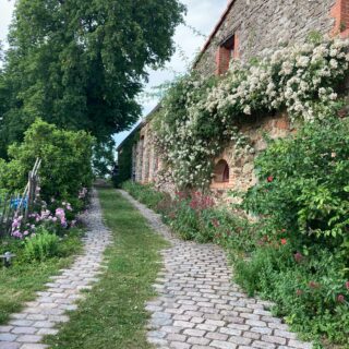 JARDIN RÉALISÉ - Ce jardin aura marqué mon parcours de Paysagiste concepteur. Cela fait maintenant 12 années que je suis ce lieu, ces différentes évolutions, les tranches de travaux successives et surtout que j’ai une belle relation de confiance avec ses propriétaires. À chaque visite, la même émotion de découvrir les lieux avec une résonance particulière entre les structures végétales et le patrimoine bâti. L’harmonie est là, les usages actuels sont bien installés, le temps fait son œuvre et comme chaque jardin, le vivant évolue, les compositions végétales se modifient, … pour notre plus grand plaisir!